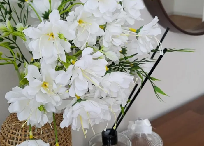 Seoulhousejamsil,풀옵션,신규오픈,3룸,2화장실,넓은거실,4인쇼파,8인식탁,잠실,롯데월드,롯데타워,코엑스비즈니스,kspo Dome,종합운동장,아산병원,삼성병원,강남성형외과 * 서울특별시